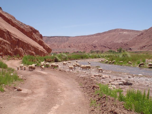 Photograph