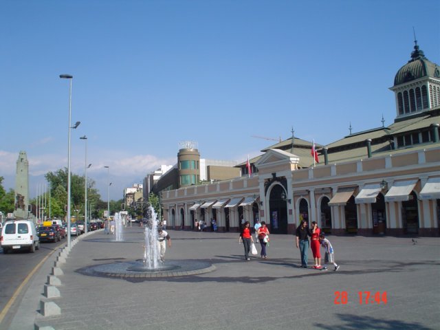 Photograph
