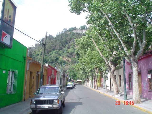 Photograph