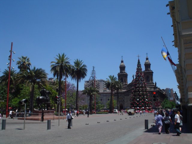Photograph