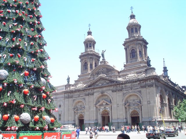 Photograph