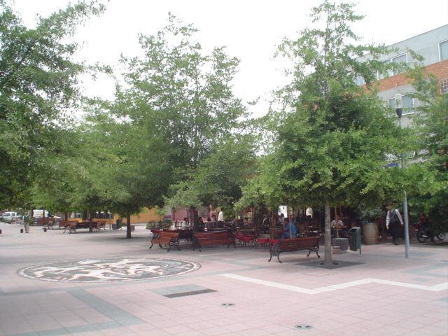 Photograph