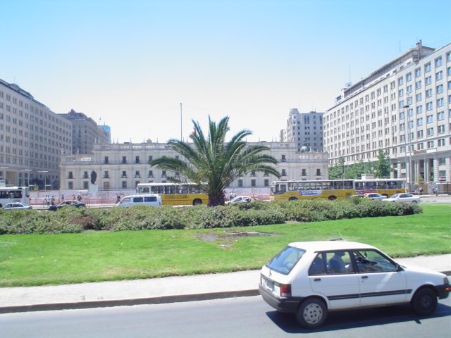 Photograph
