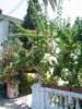 Photo Number 6